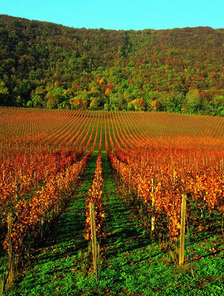 Veneto